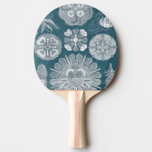 Sealife Blueprint IV Ping Pong Paddle