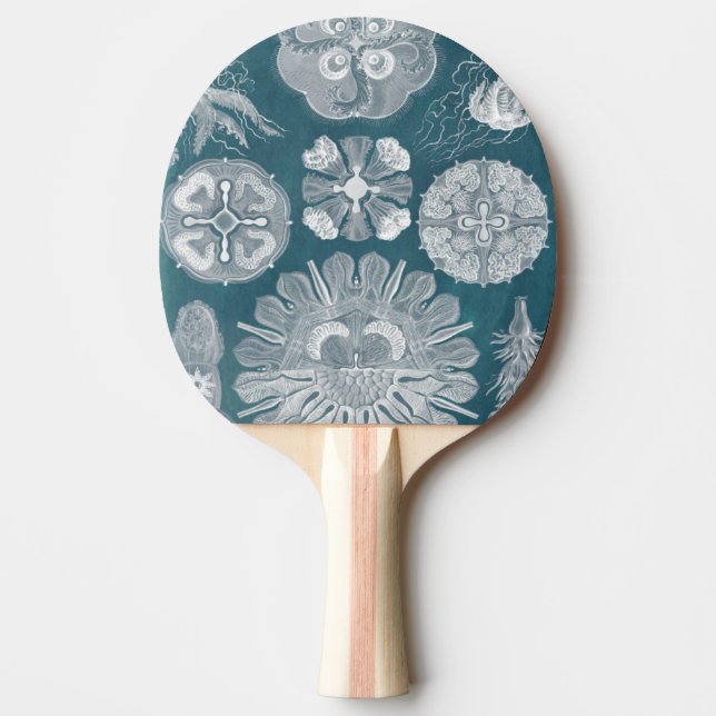 Sealife Blueprint IV Ping Pong Paddle (Front)