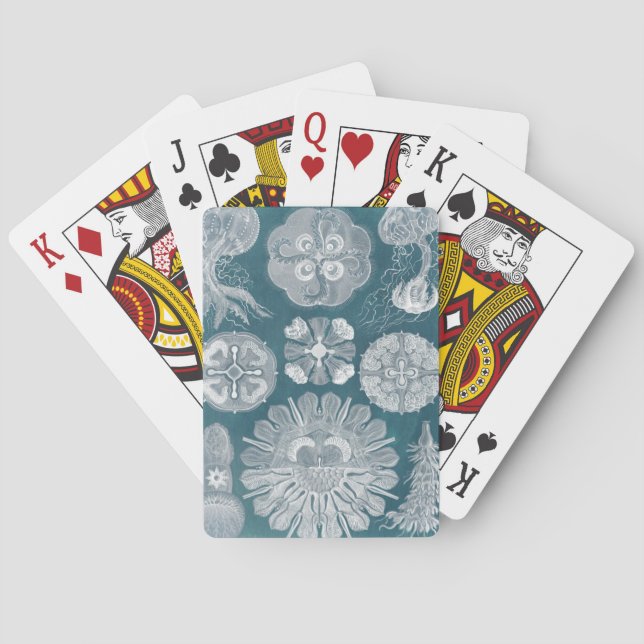 Sealife Blueprint IV Playing Cards (Back)