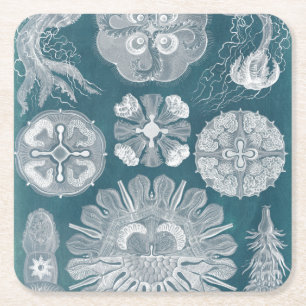 Sealife Blueprint IV Square Paper Coaster