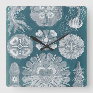 Sealife Blueprint IV Square Wall Clock