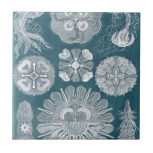 Sealife Blueprint IV Tile