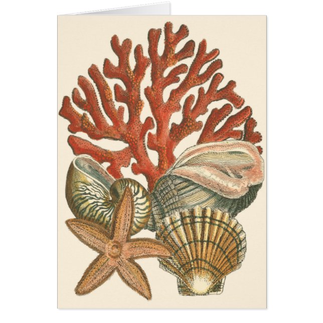 Sealife Collection (Front)