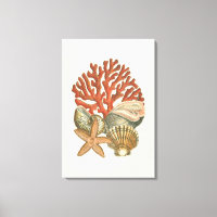 Sealife Collection