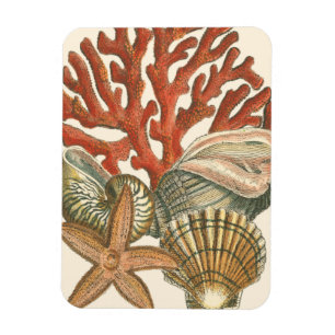 Sealife Collection Magnet
