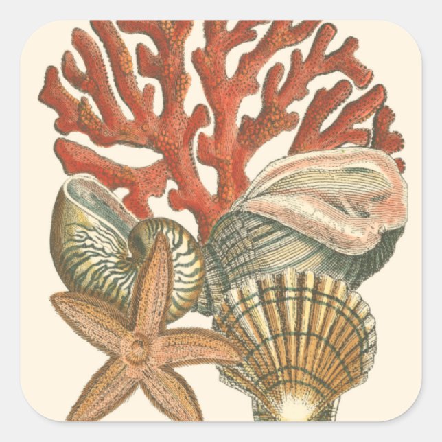 Sealife Collection Square Sticker (Front)