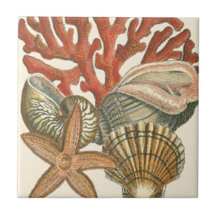 Sealife Collection Tile