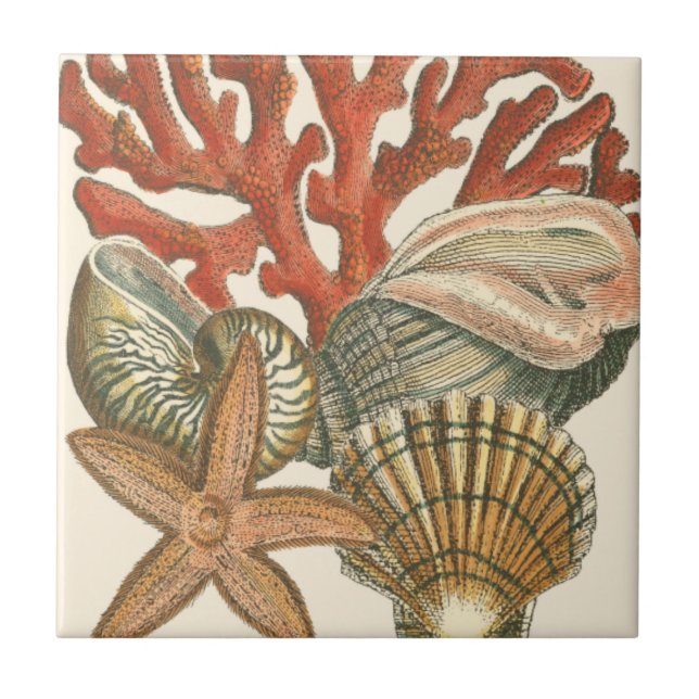 Sealife Collection Tile (Front)