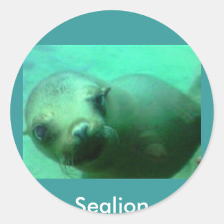 Sealion Classic Round Sticker