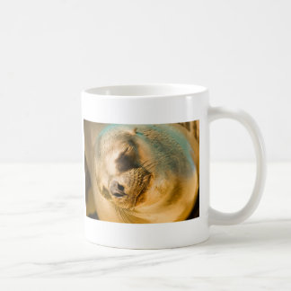 Sealion Coffee Mug