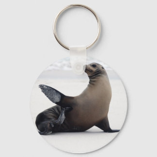 Sealion Keychain