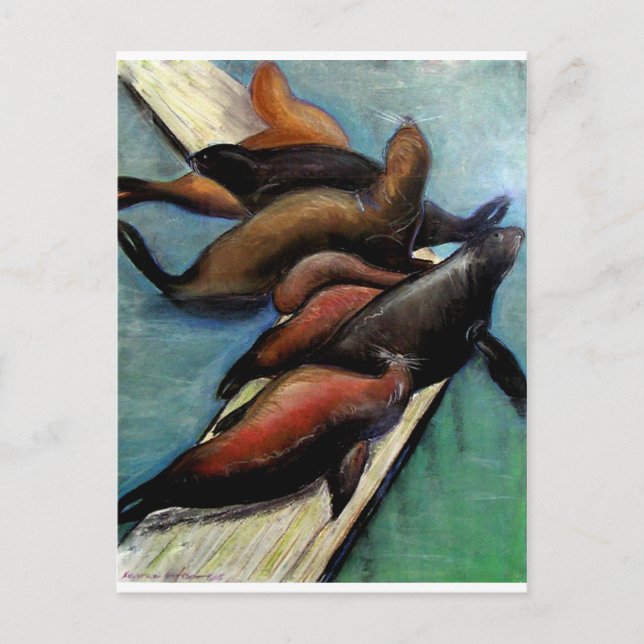 Sealions Postcard (Front)