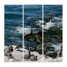 Seals and Birds Triptych