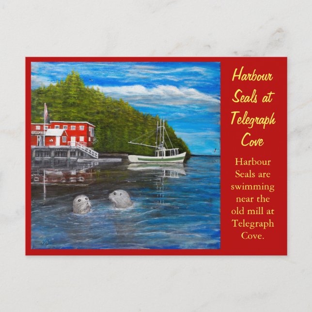 Seals at Telegraph Cove, BC Canada. Postcard (Front)