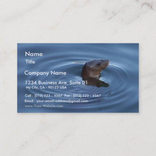 Seals Lions Business Card