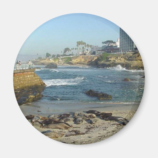 Seals On Sand In La Jolla Cove Magnet (Front)