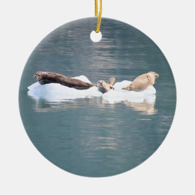 Seals ornament (Front)