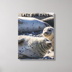 Seals Relaxing on Sand and Pebbles Canvas Print