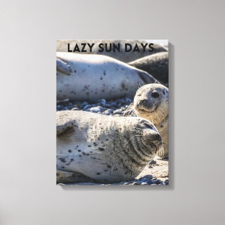 Seals Relaxing on Sand and Pebbles Canvas Print