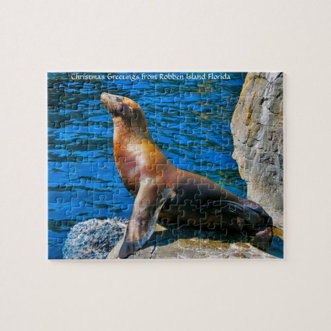 Seals Robben Island Florida. Jigsaw Puzzle (Horizontal)