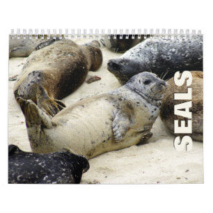 Seals Wall Calendar