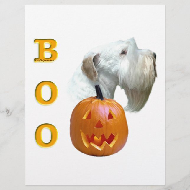 Sealyham Terrier Boo (Front)
