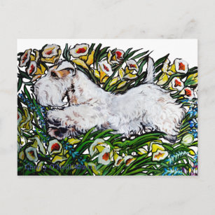 Sealyham Terrier Daffodils Postcard