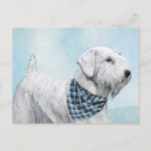 Sealyham Terrier Painting - Cute Original Dog Art Postcard