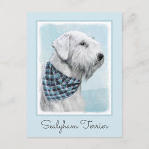 Sealyham Terrier Painting - Cute Original Dog Art Postcard