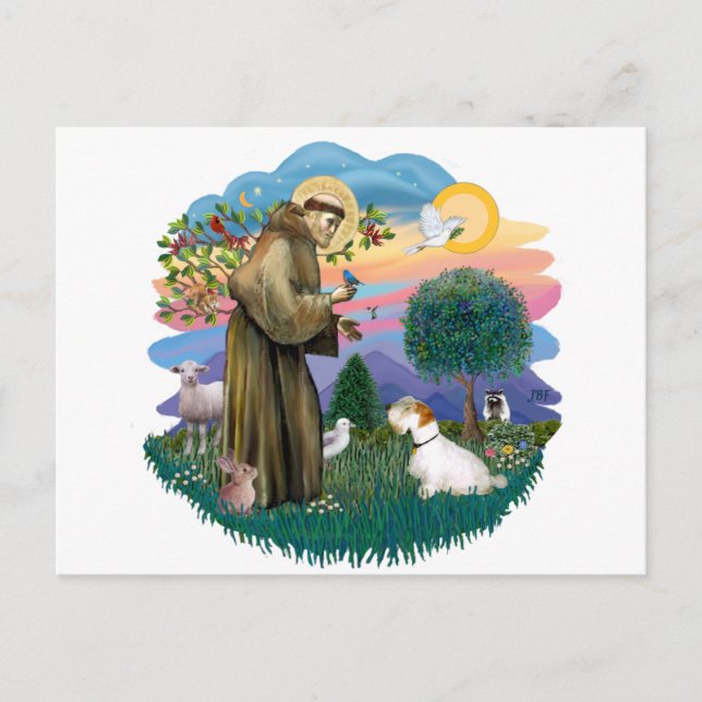 Sealyham Terrier Postcard (Front)