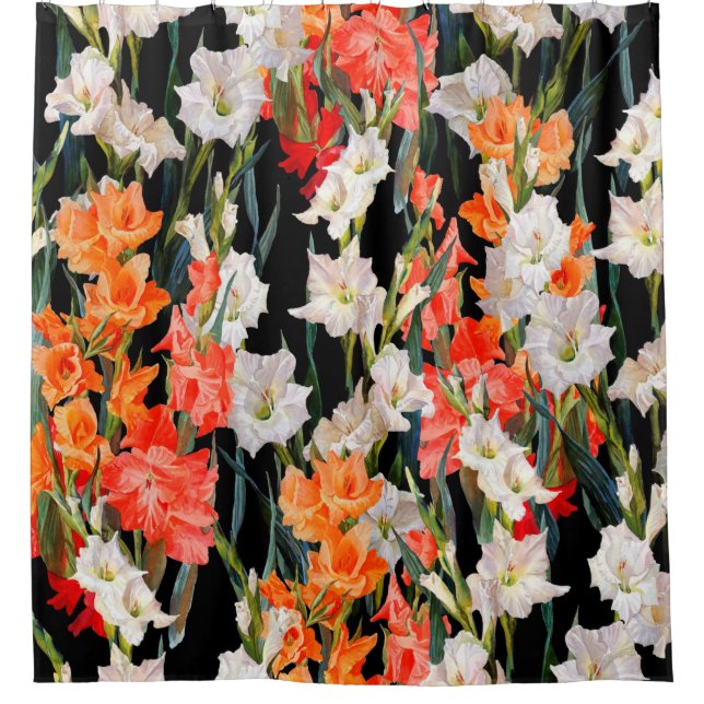 Seamless floral pattern. Multicolored gladiolus on (Front)