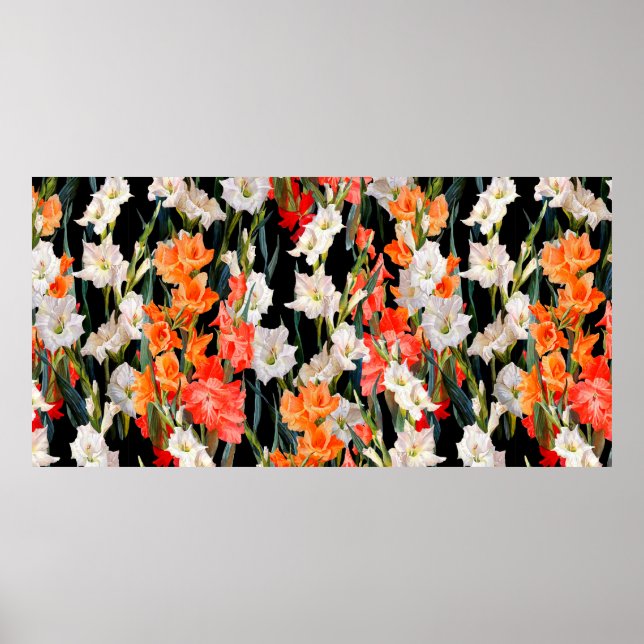 Seamless floral pattern. Multicolored gladiolus on Poster (Front)
