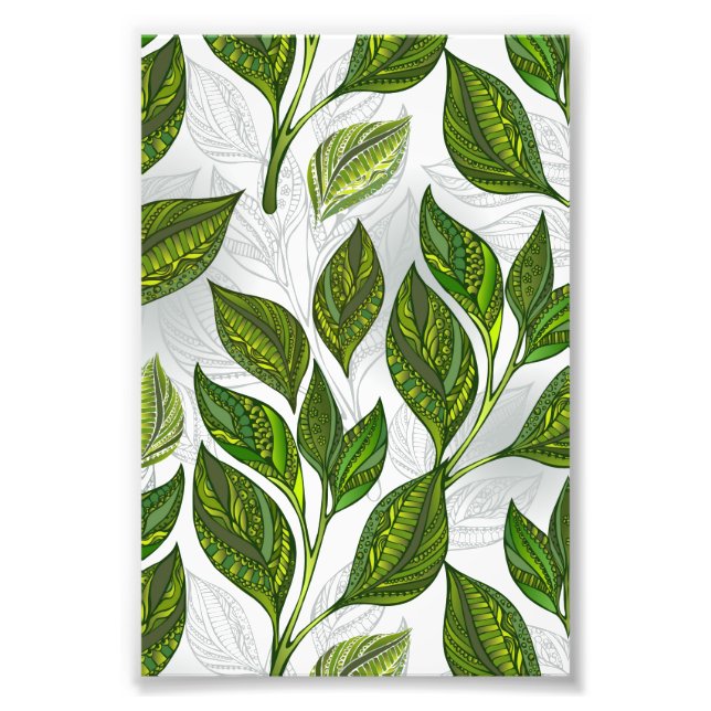 Seamless Pattern with Green Tea Leaves Photo Print (Front)