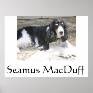 Seamus MacDuff Poster