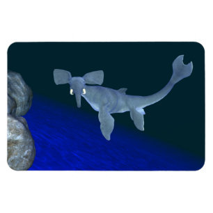 Seaphant Magnet