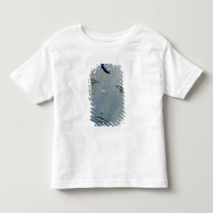 Seaplanes, 1933 toddler t-shirt