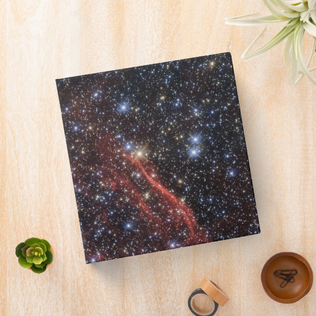 Search For Stellar Survivor Of Supernova Explosion Binder (In Situ)