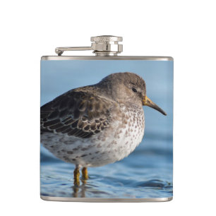 Searching Rock Sandpiper Hip Flask