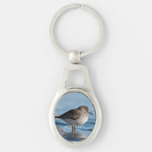 Searching Rock Sandpiper Keychain