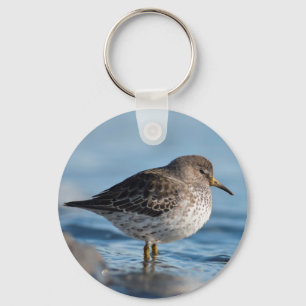 Searching Rock Sandpiper Keychain
