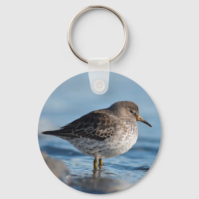 Searching Rock Sandpiper Keychain (Front)