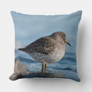 Searching Rock Sandpiper Throw Pillow