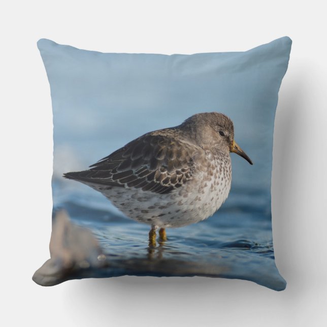 Searching Rock Sandpiper Throw Pillow (Front)
