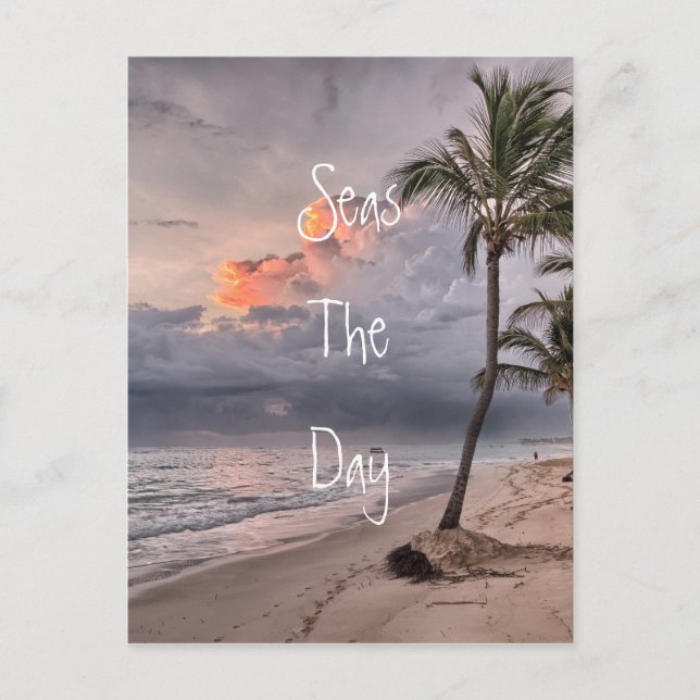 Seas The Day Postcard (Front)