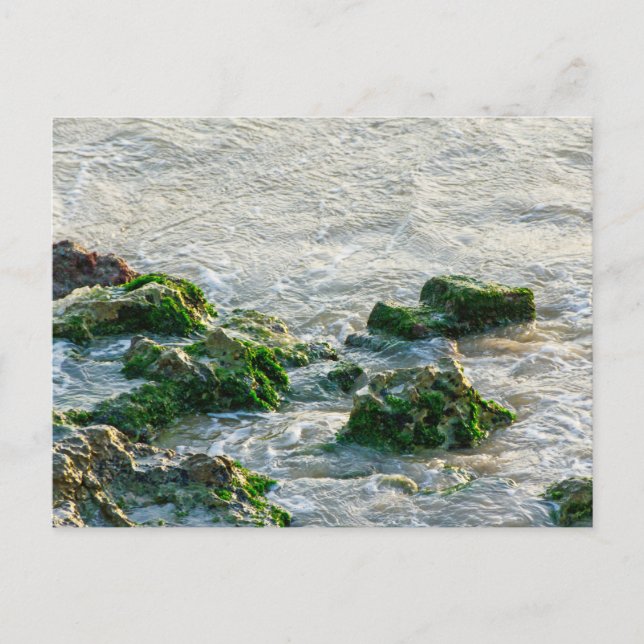 Seascape Postcard (Front)