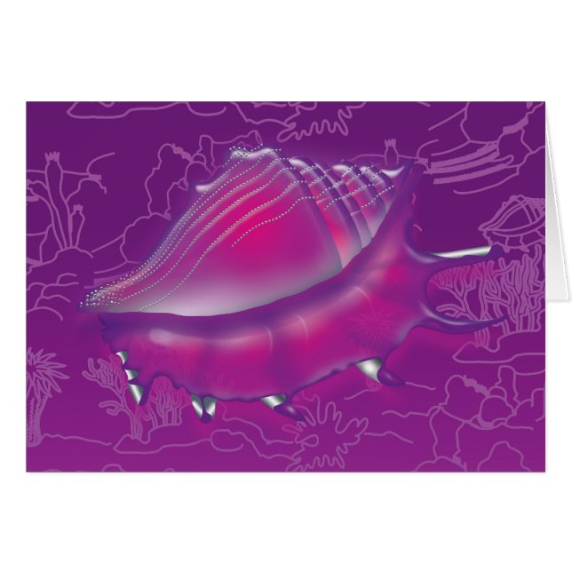 Seashell (Front Horizontal)