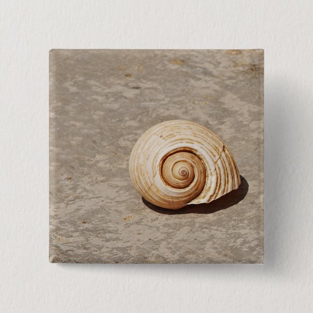 SeaShell 2 Inch Square Button (Front)
