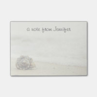 Seashell Alone On Beach