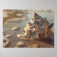 Seashell and Sunlit Foam: Coastal Serenity