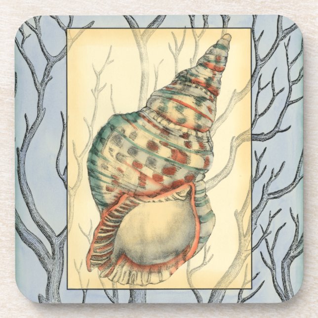 Seashell and Tree Branches Coaster (Front)
